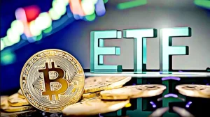 تاثیر ETF Bitcoin بر قیمت بیت کوین و پیامد آن برای صرافی ها